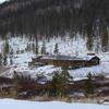 State Parks
State Forest: North Michigan  
Historic Cabin Rehabilitation